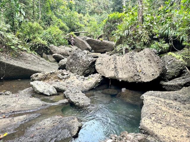 Stylish Farm Flat Jasmeeruls Bayt Tuvurara Savusavu - 2