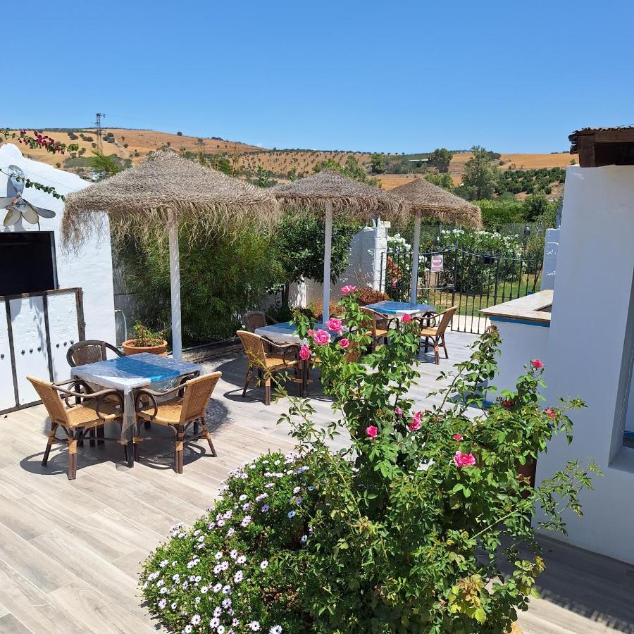 The Dragonfly Retreat - 5