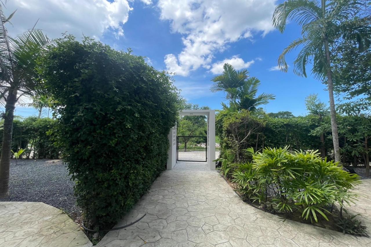 Alisse Stay Phuket Layan - 3