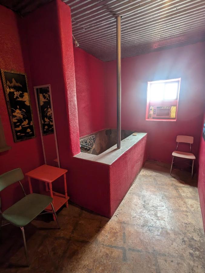 Pink Pelican — photo 17