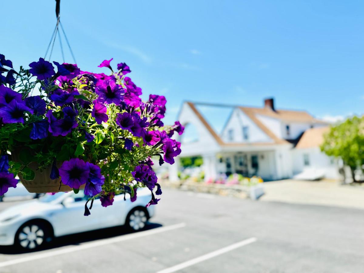 Blue Spruce Motel — photo 16