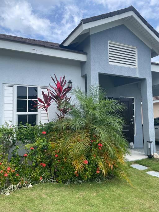 St Mary Peace Garden - 3