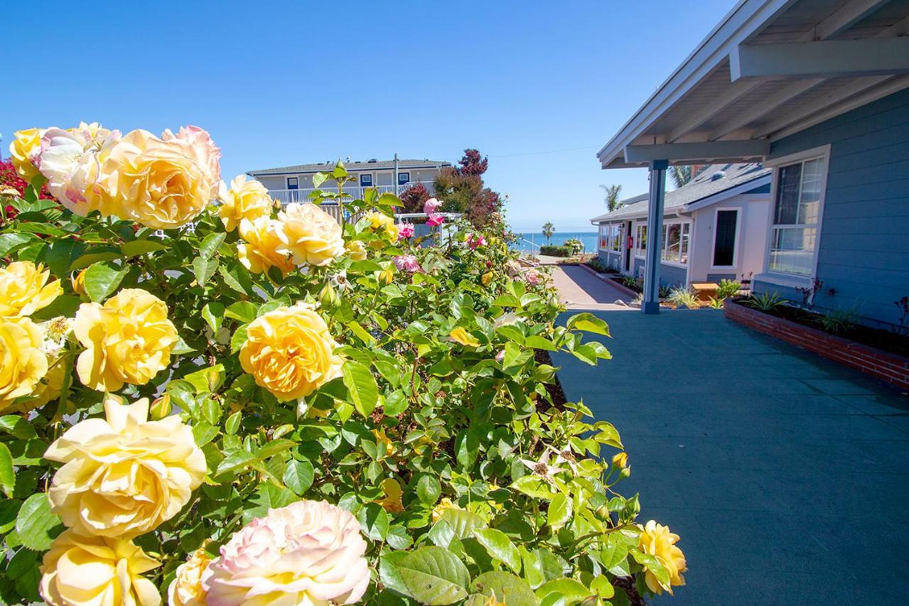 Edgewater Beach Inn — photo 9