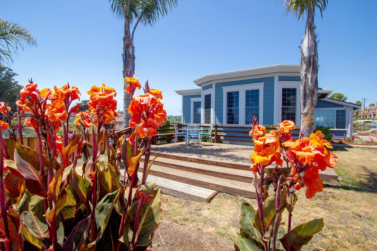 Edgewater Beach Inn — photo 13
