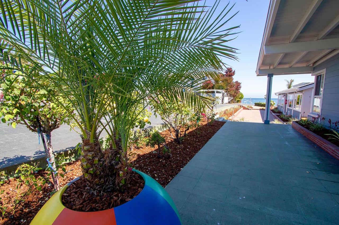 Edgewater Beach Inn — photo 8