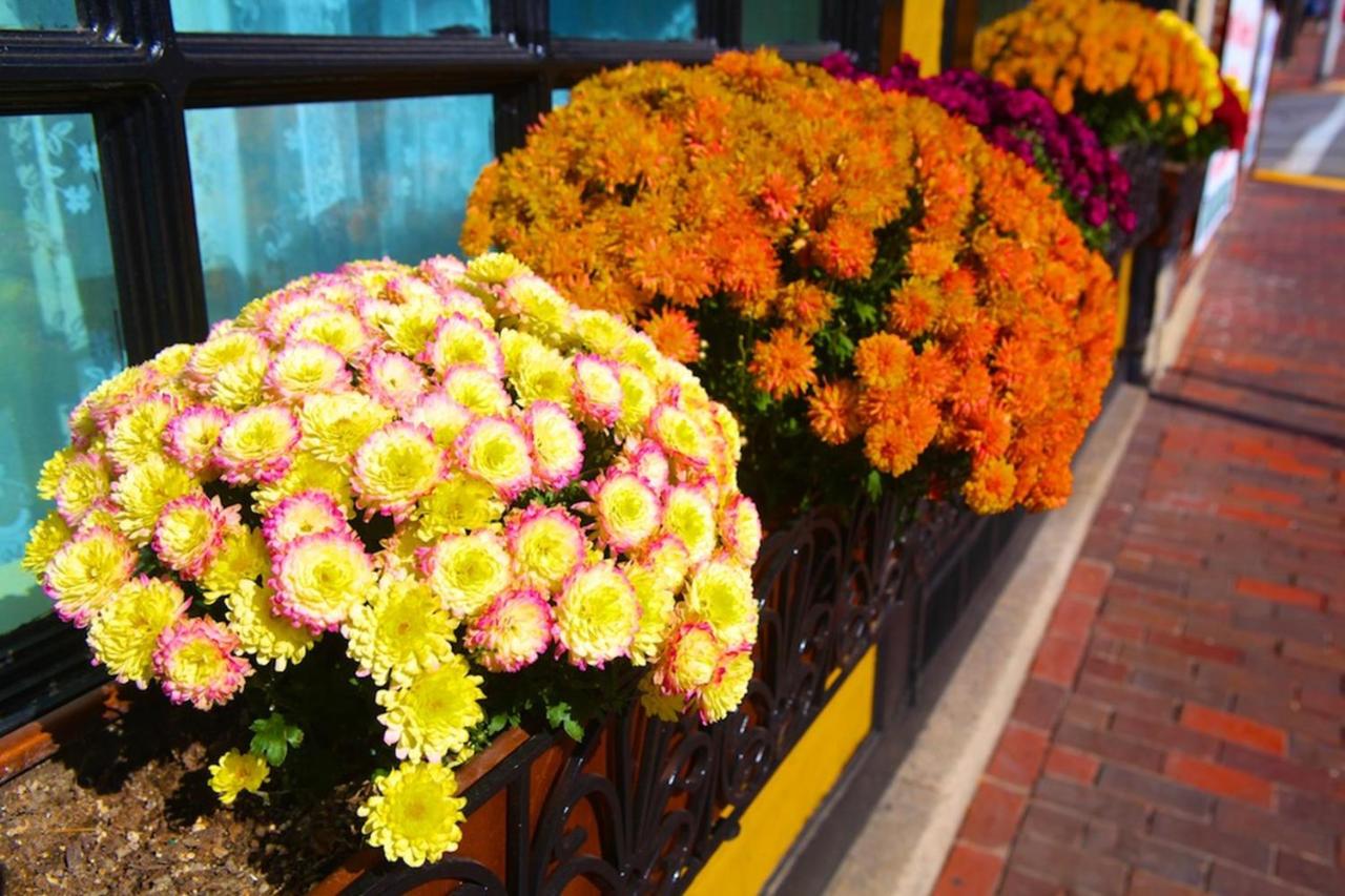 Inn At St John Portland In Town Portland Updated 2021 Prices