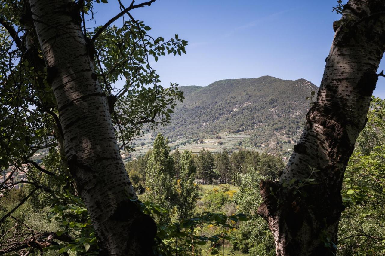 Bulles d'Olive Olea avec piscine - Jacuzzi en option