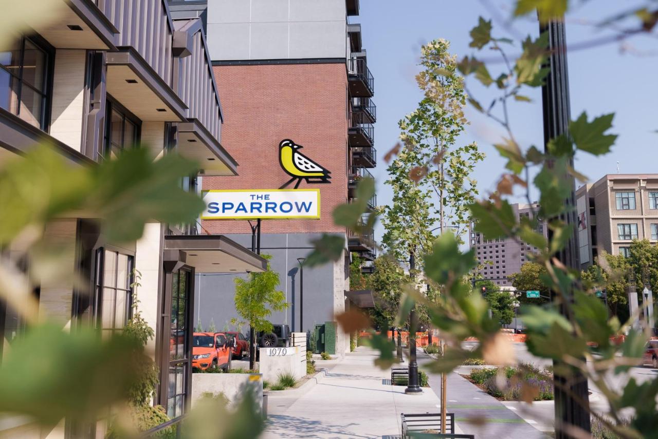 The SPARROW — photo 12