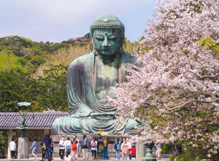 Discover Tokyo's soul Your cozy Japanese escape! - 5