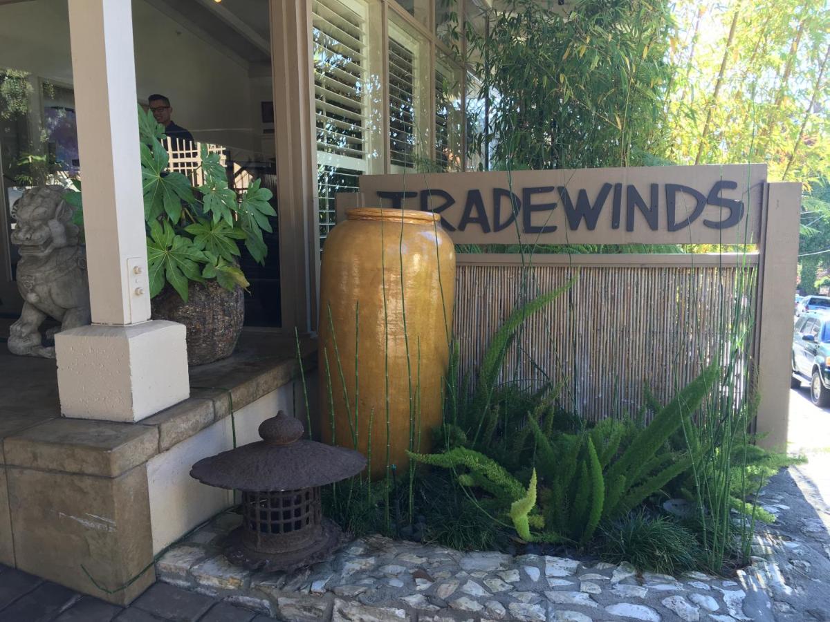 Tradewinds Carmel — photo 12