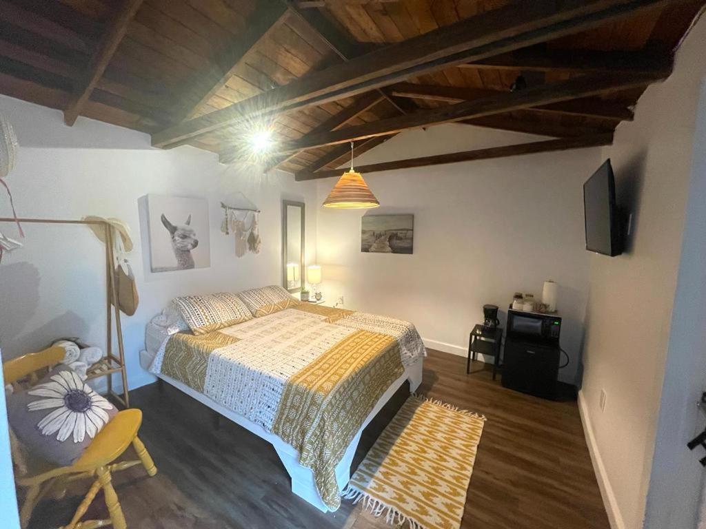 Private Studio Cabin steps from Calle 8 - 2