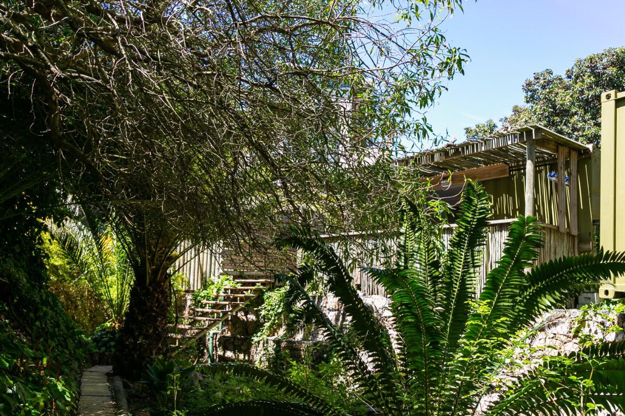Camps Bay Forest Pods