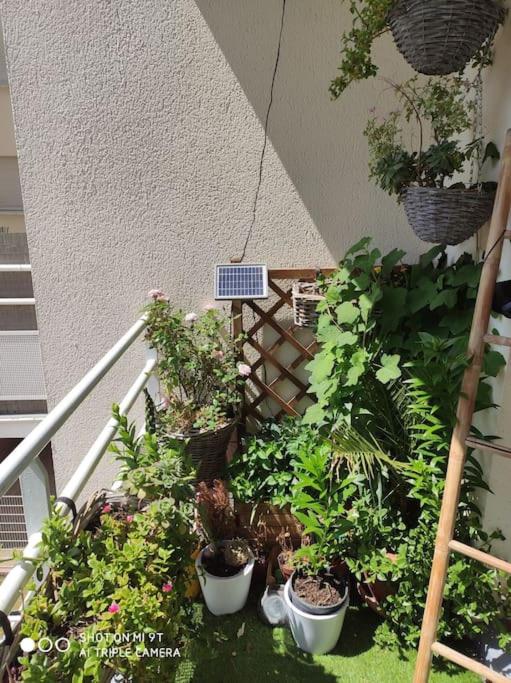 Appartement Cosy et Calme - 5