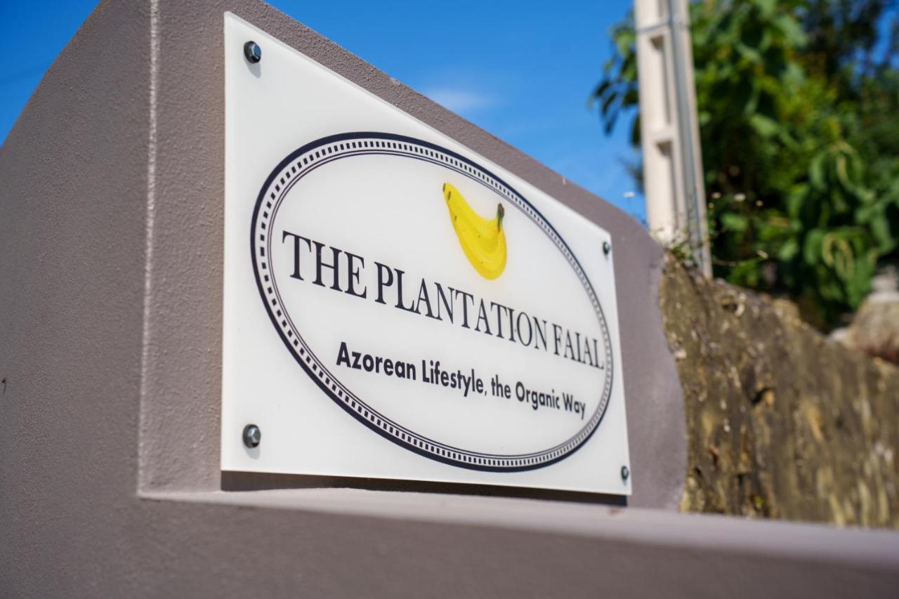 The Plantation Faial - 3