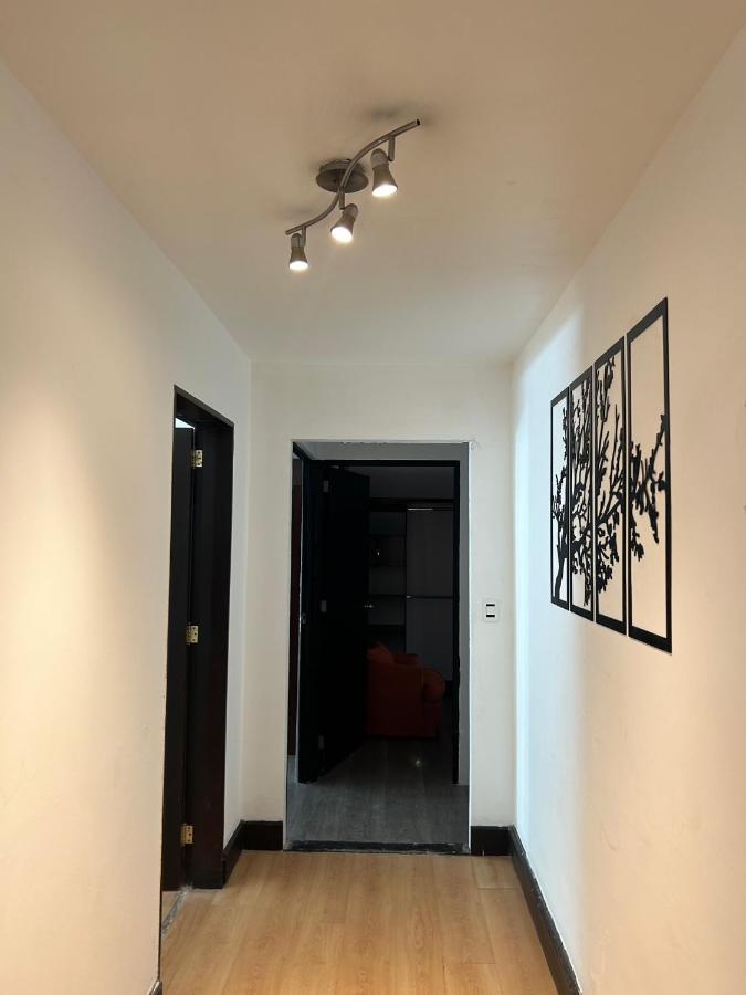 Espectacular dep Masaryck c/terraza - 4