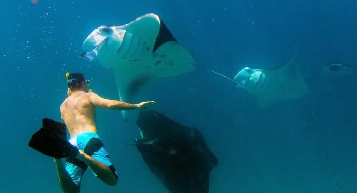 Jolame Homestay Experience - 3