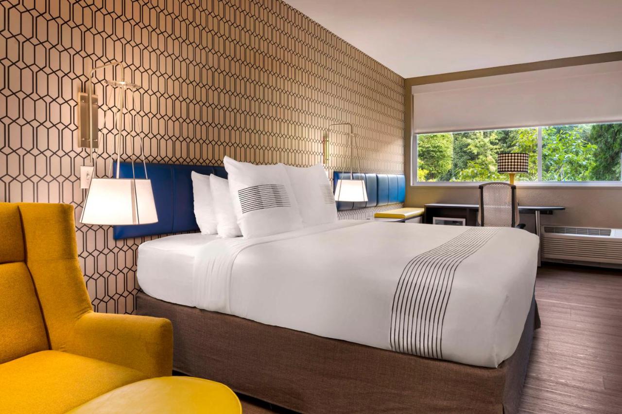 GLo Hotel Asheville-Blue Ridge Parkway — photo 13