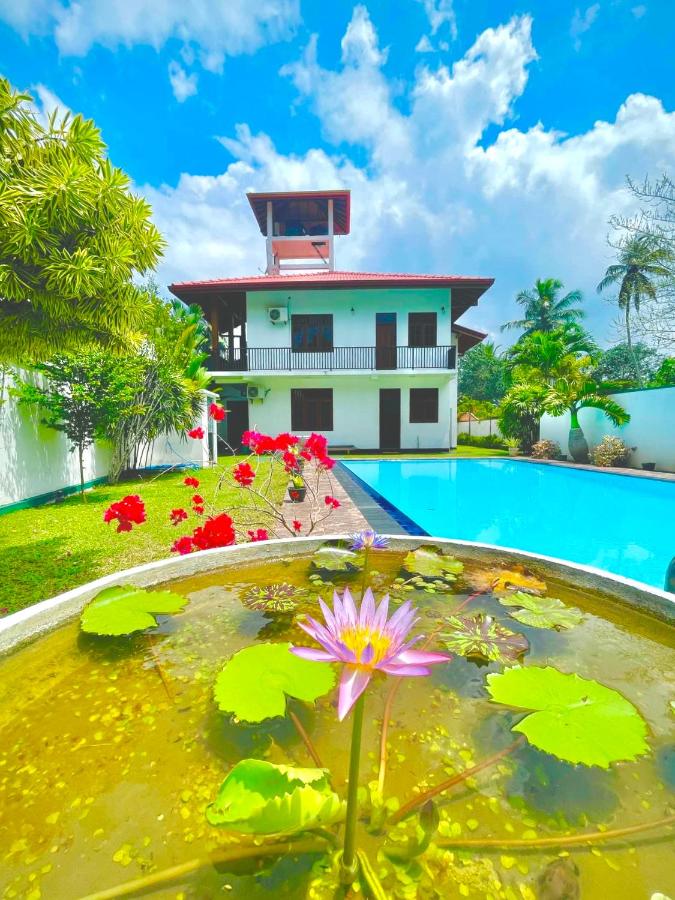 Jaanu's Haven