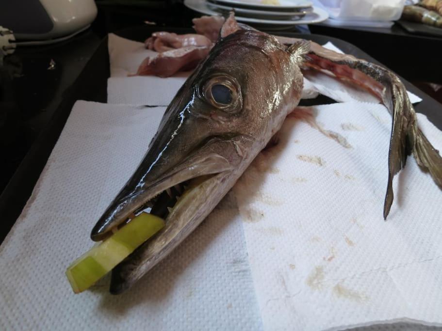 Villa True Colors - 3