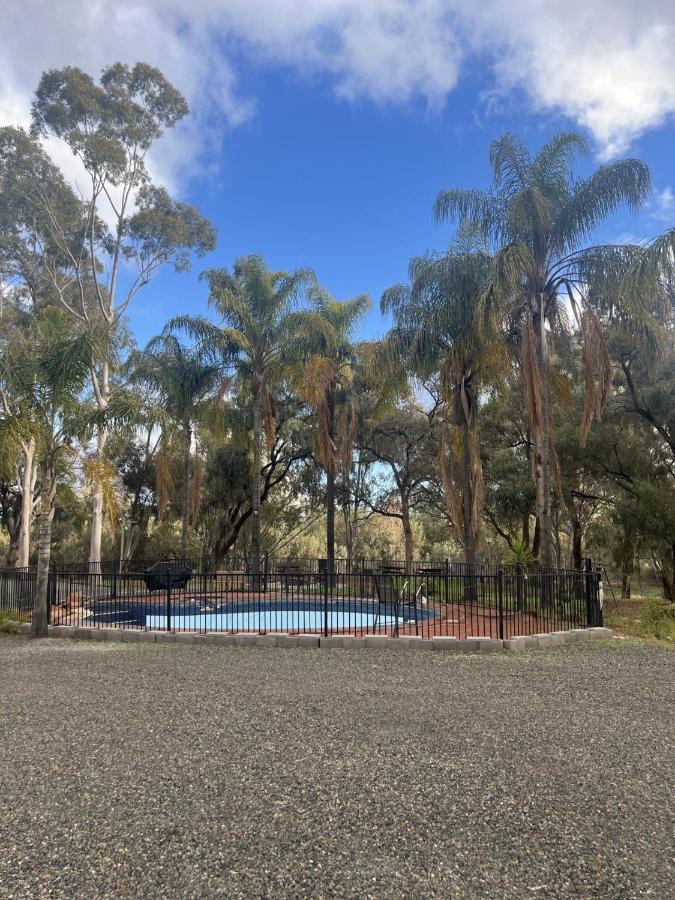Twin Rivers Motel — photo 13