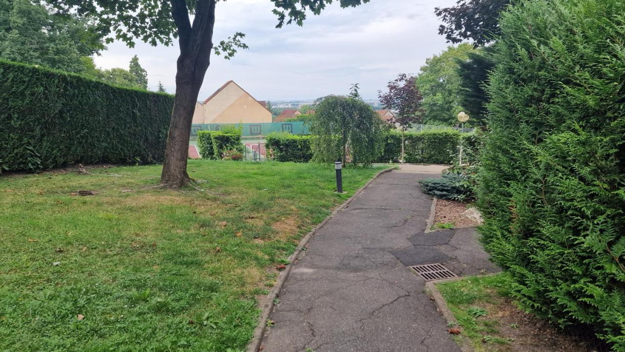 Appartement lumineux en duplex avec terrasse et jardin - 5