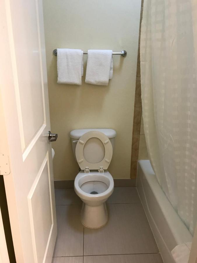 Executive — photo 15