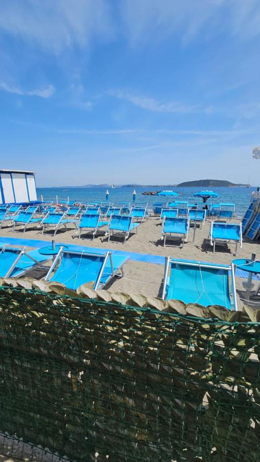 Nanninella a Mare Ischia - 5