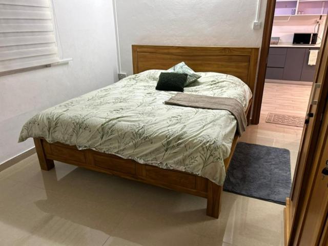 Spacious 3 Bedrooms Flat in Port Louis - 2