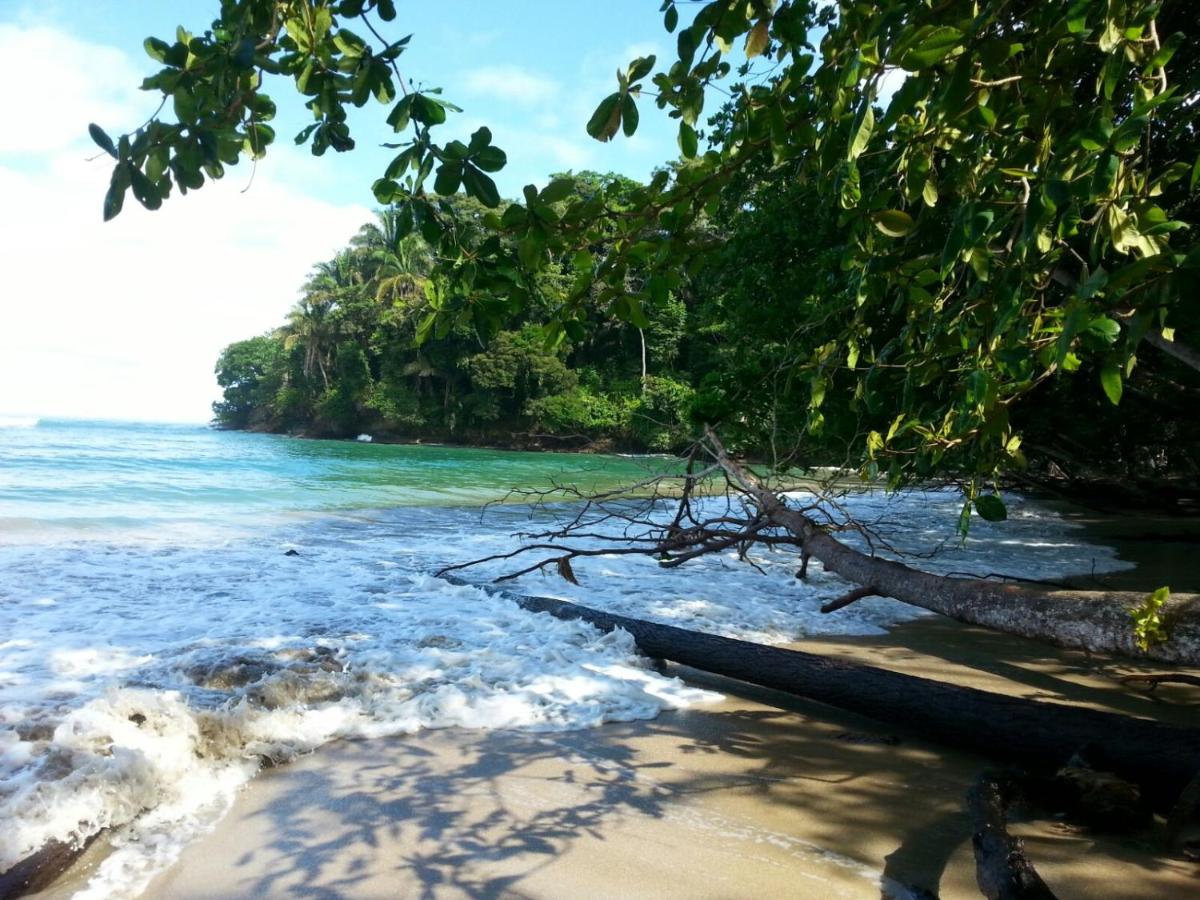 Mar Verde Lodge photo