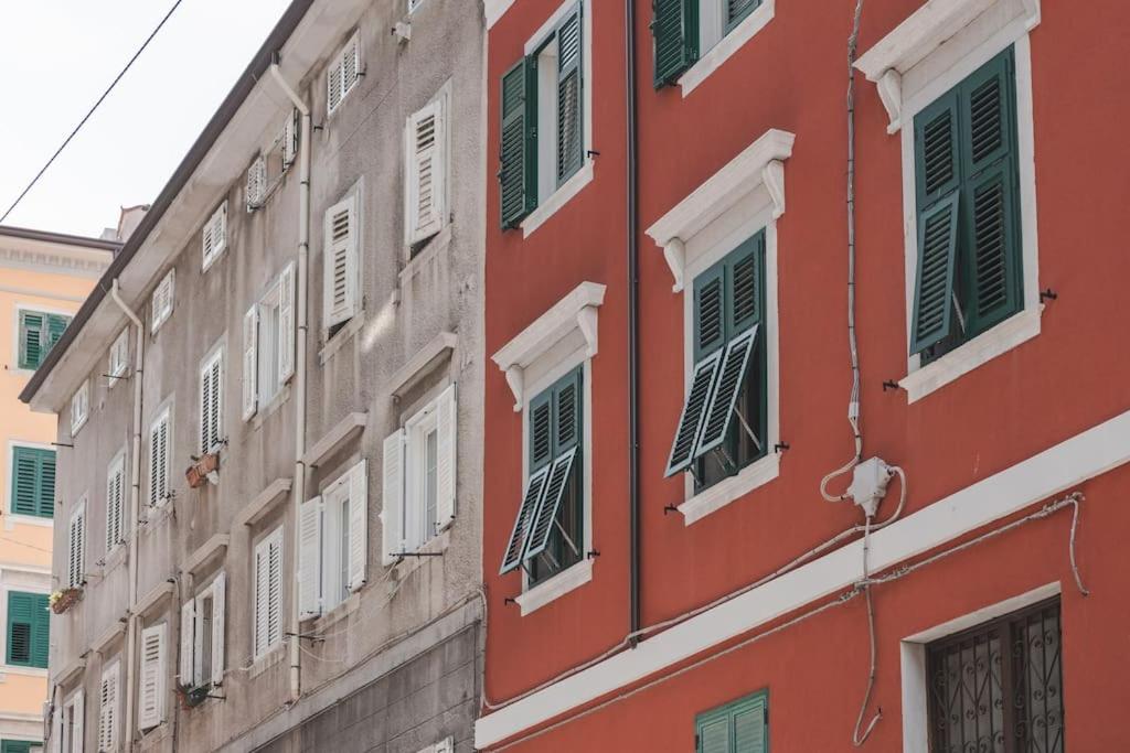 Fibra & Netflix - Largo Barriera Elegant Suite - 4