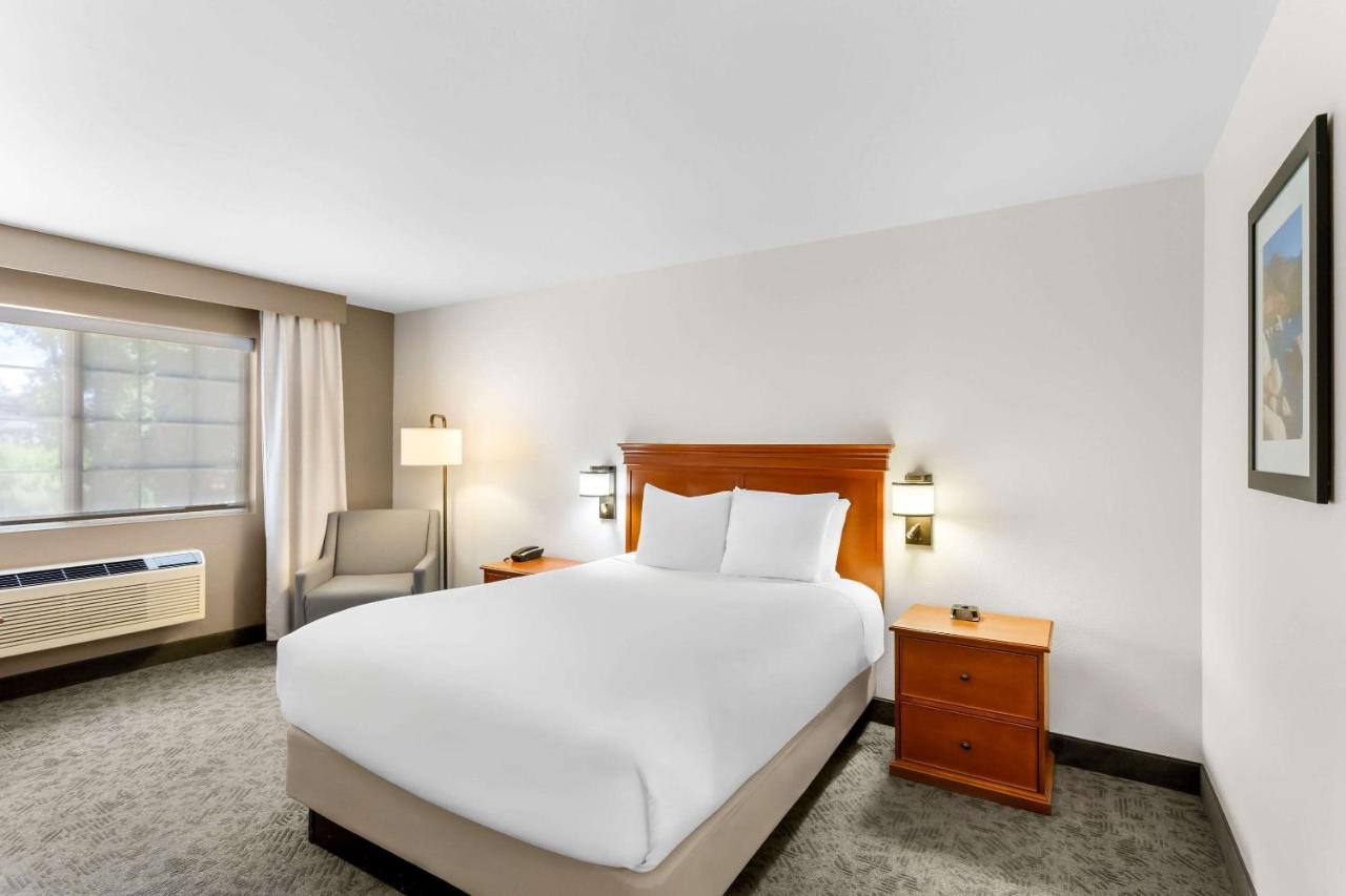 Travel Inn — photo 13