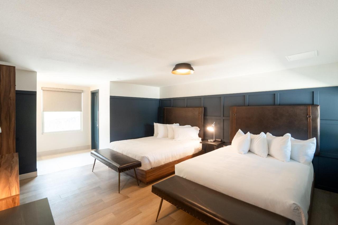 Hotel Sylva — photo 17