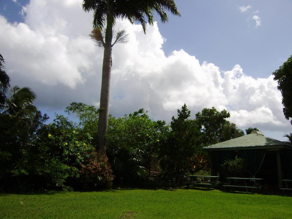 Angler Apartments photo