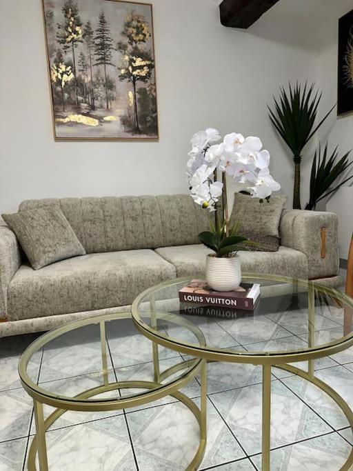 Maison Perle rare 2 "Le cosy de l'aéroport CDG"