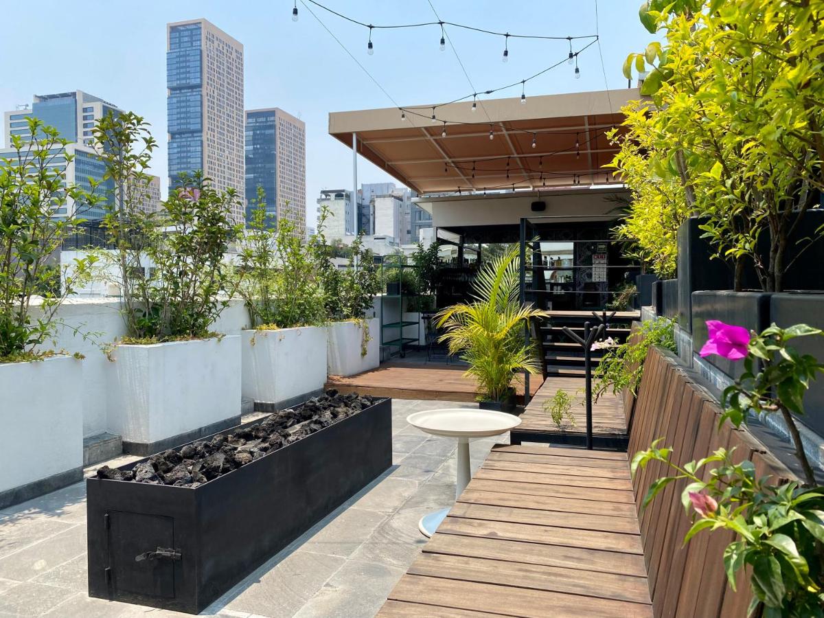 Pug Seal Polanco Anatole France - 2