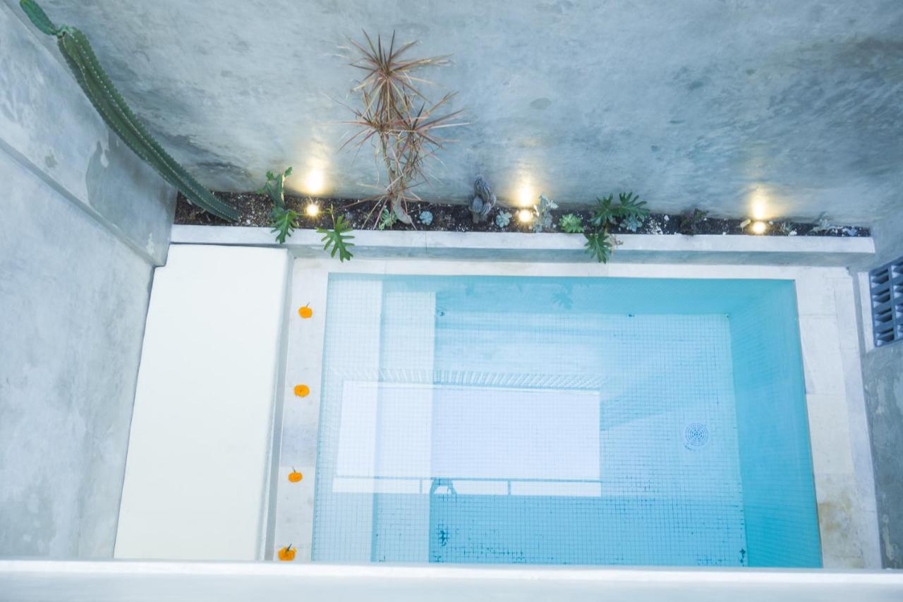 Ceria House Canggu - 4