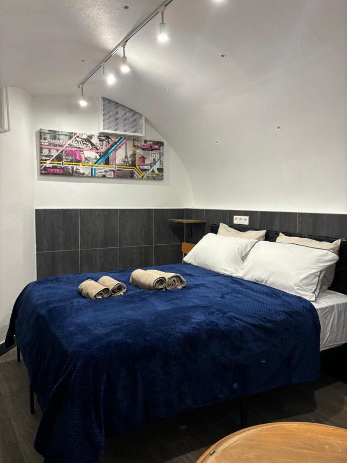 Proche Notre Dame de Paris - 5