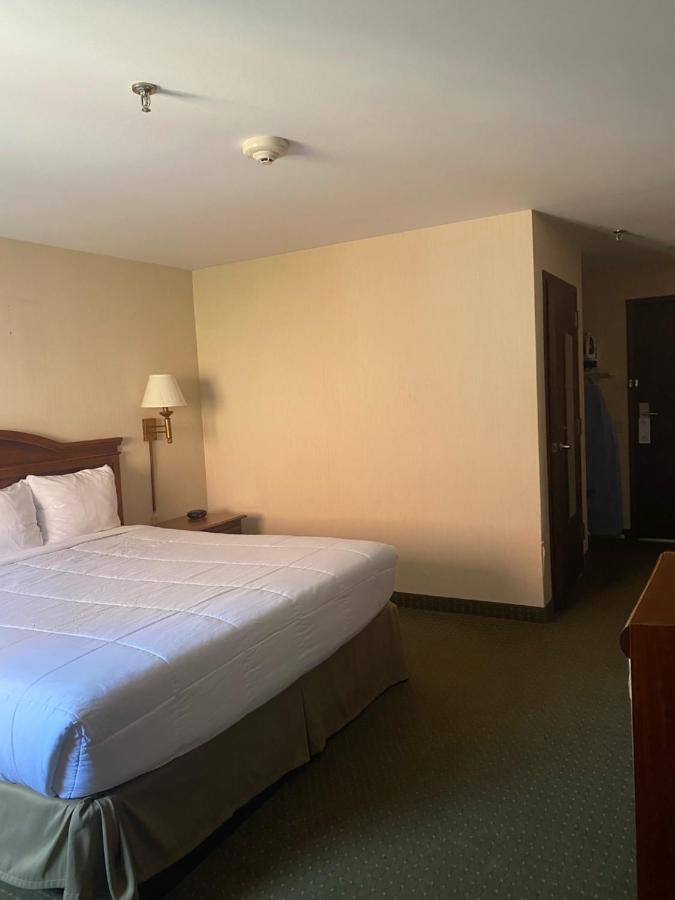 Pottsville Motor Inn — photo 24