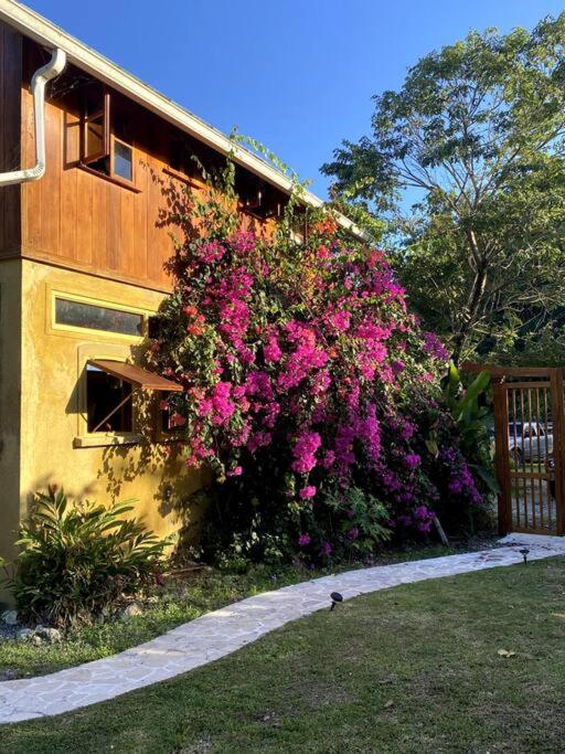 Magical Port Antonio Close to Blue Lagoon Frenchman's Cove - 5