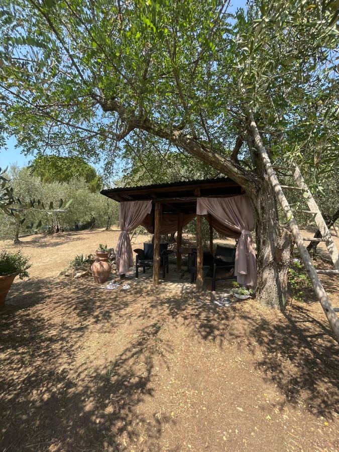 Scorcio d'Infinito di Peccioli - 5