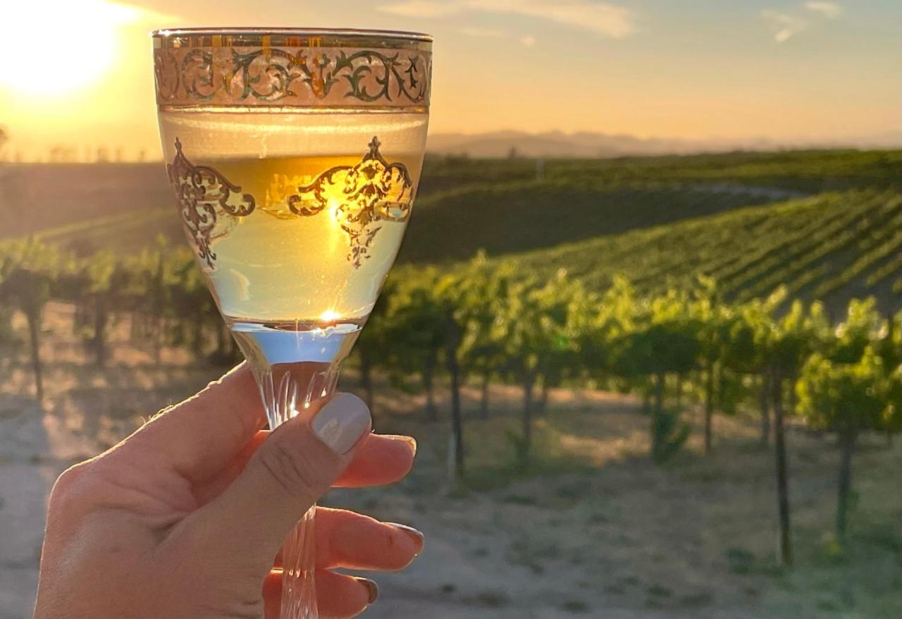 Domaine Chardonnay Winery Estate & Luxury Guest Suites — photo 18