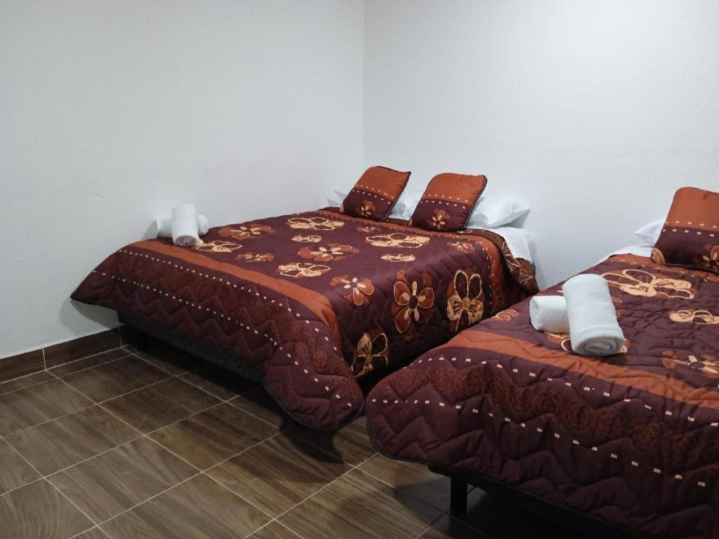 Alojamiento GAMA - 4