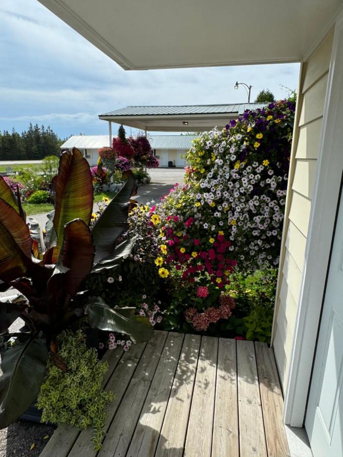 Sunset Motel at Armand's Gardens — photo 18