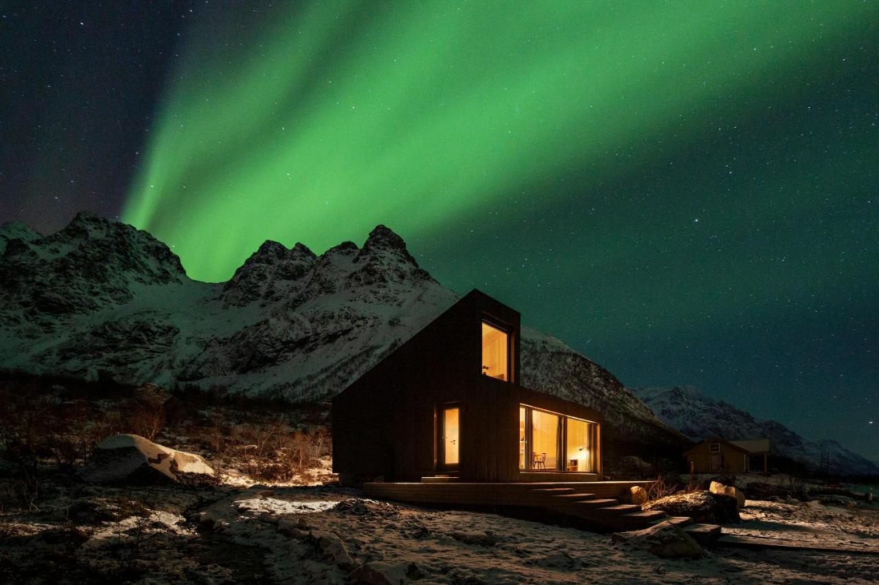 Black Aurora Nook — photo 2