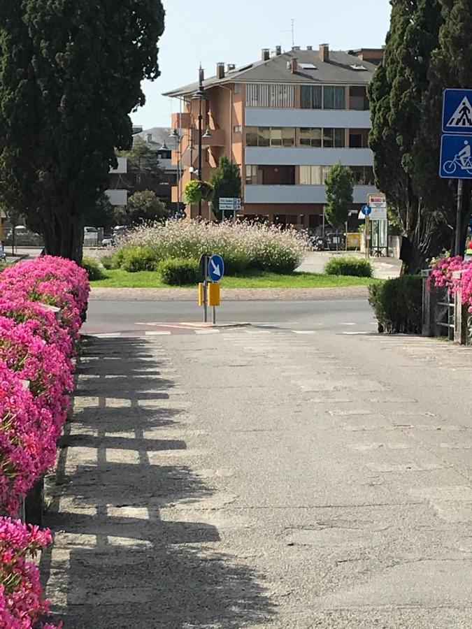 Monolocale a Grado - 2