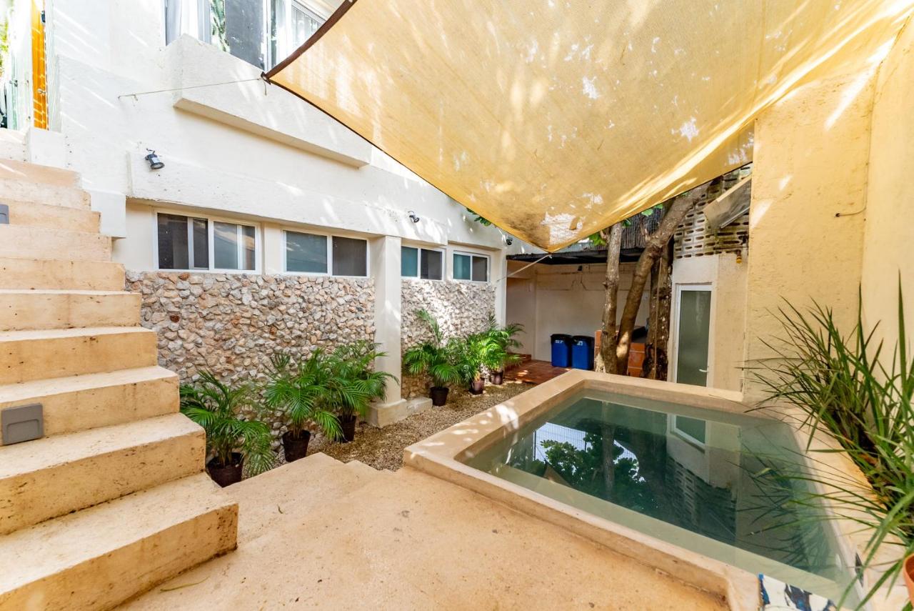 Casa Jicama - 4