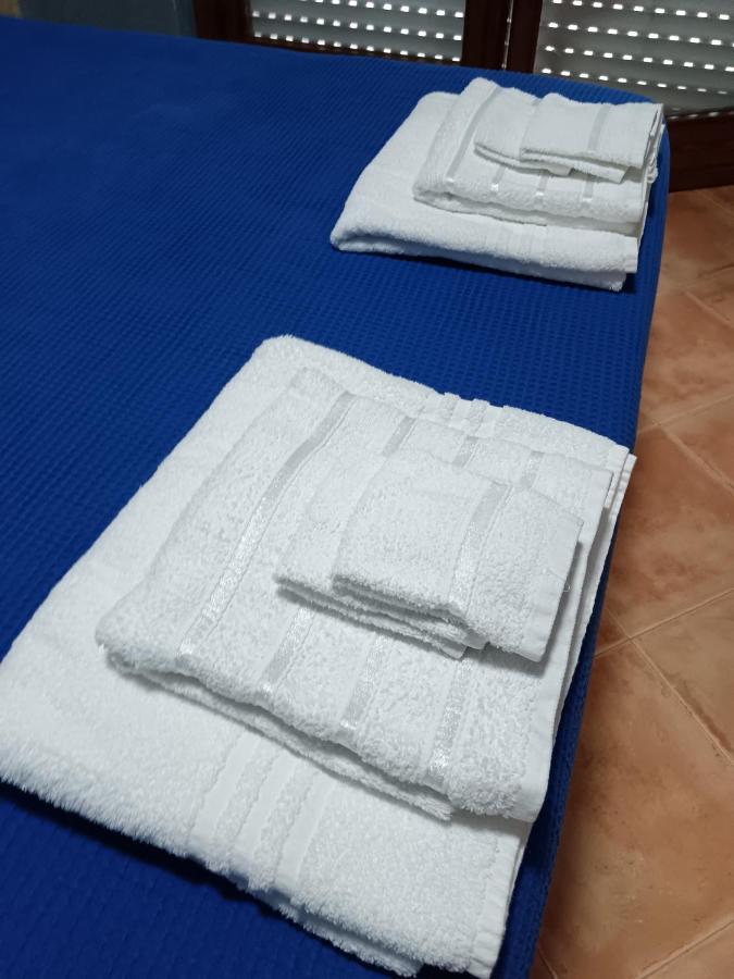 Friend of all the world - Giardino di Roma - Casal Bernocchi - Acilia - 3