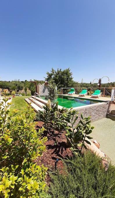 Casa Monte das Medronheiras - 4