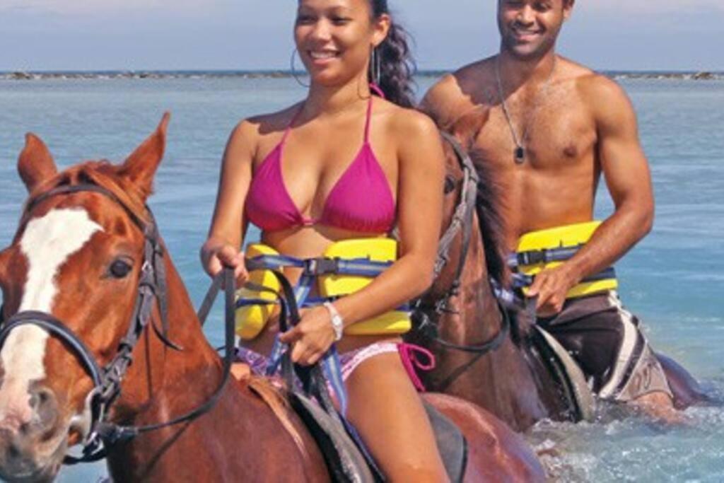 Island Treasure Villas - 5