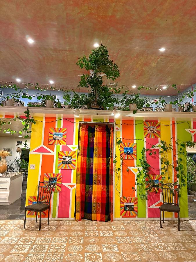 Hippie Chic Oasis — photo 7